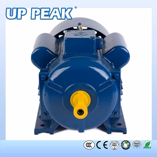 Китайский однофазный трехфазный 1,5 кВт, 2 л.с., 5,5 кВт, 132 м, 132 сб, 160 м, запуск конденсатора, асинхронный индукционный электродвигатель переменного тока, завод-изготовитель и поставщик
